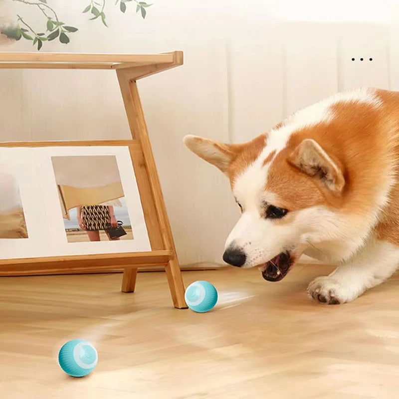 ELEKTRISCHES KATZENSPIELZEUG MIT AUTOMATISCHEM ROLLBALL