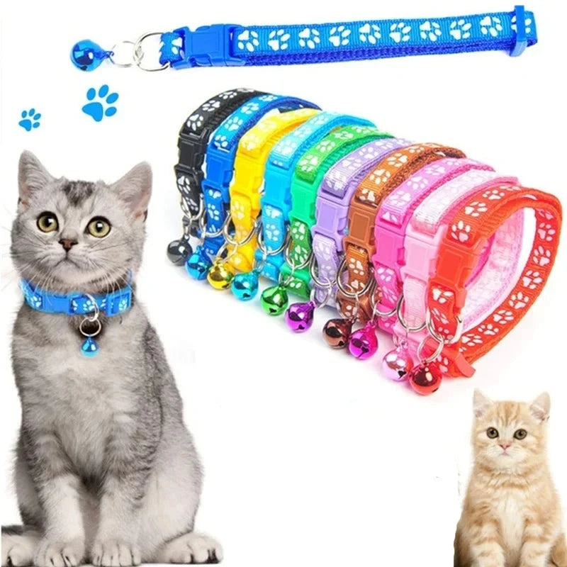 Buntes Halsband mit Katzenpfotenabdruck