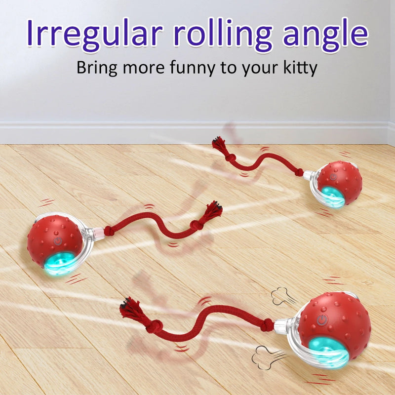 KATZEN-ROLLBALL, VOGELZWITSCHERSPIELZEUG